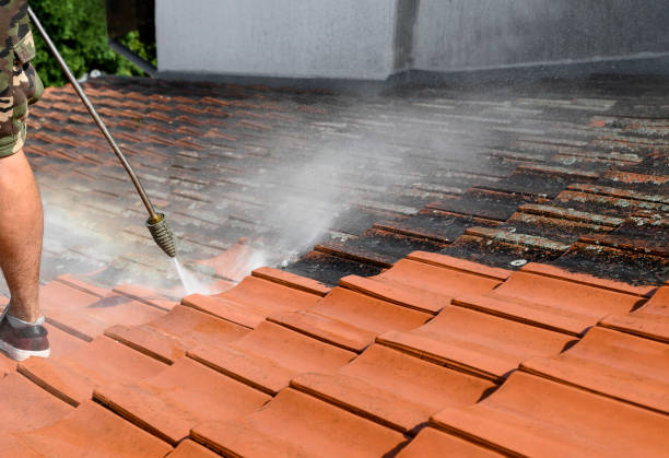 Best Roof Pressure Washing  in Blackhawk, SD