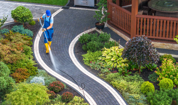 Best Pressure Washing Company Near Me  in Blackhawk, SD